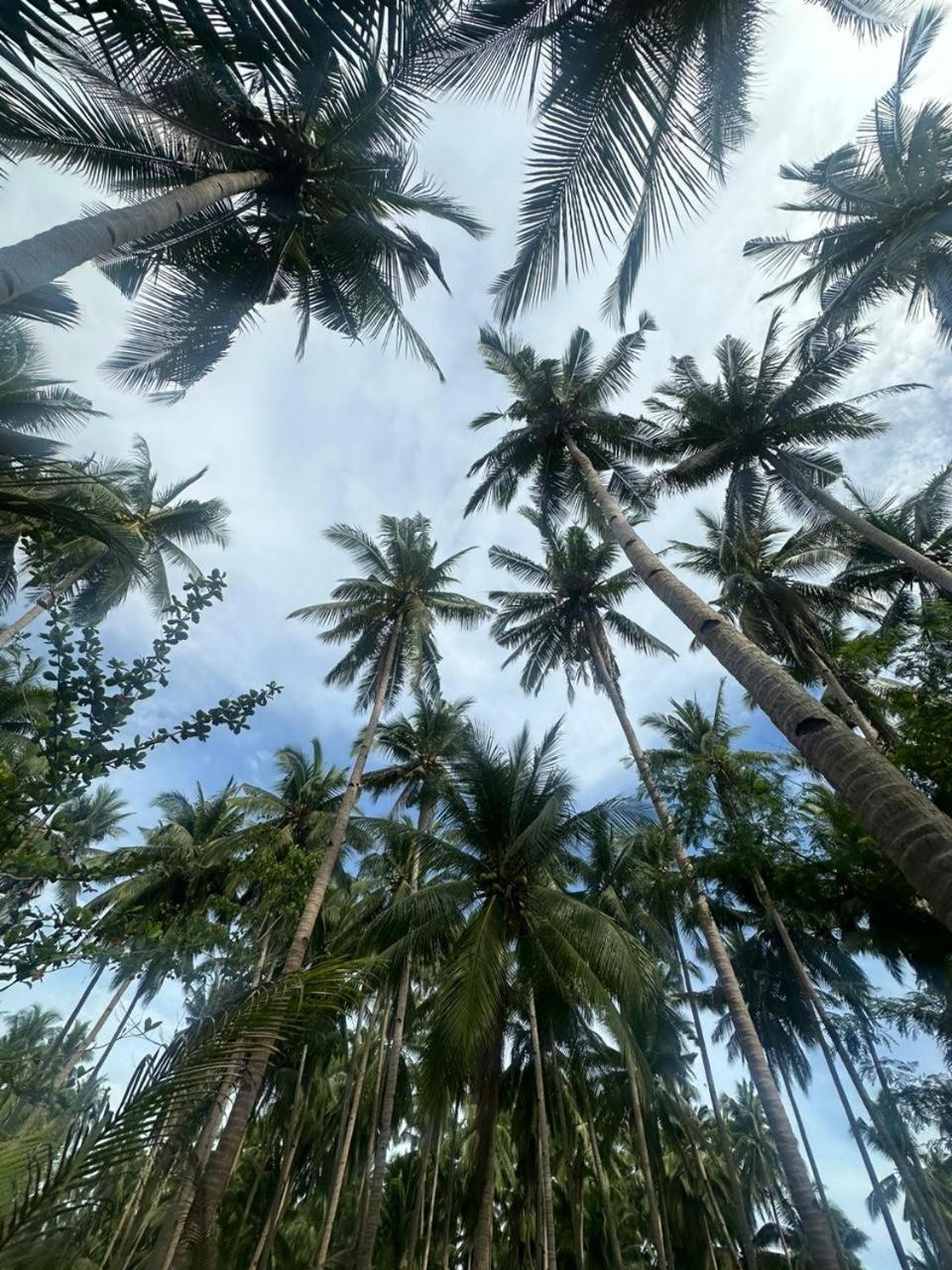 Efrena Agro Tourism Beach เอลนิโด ภายนอก รูปภาพ