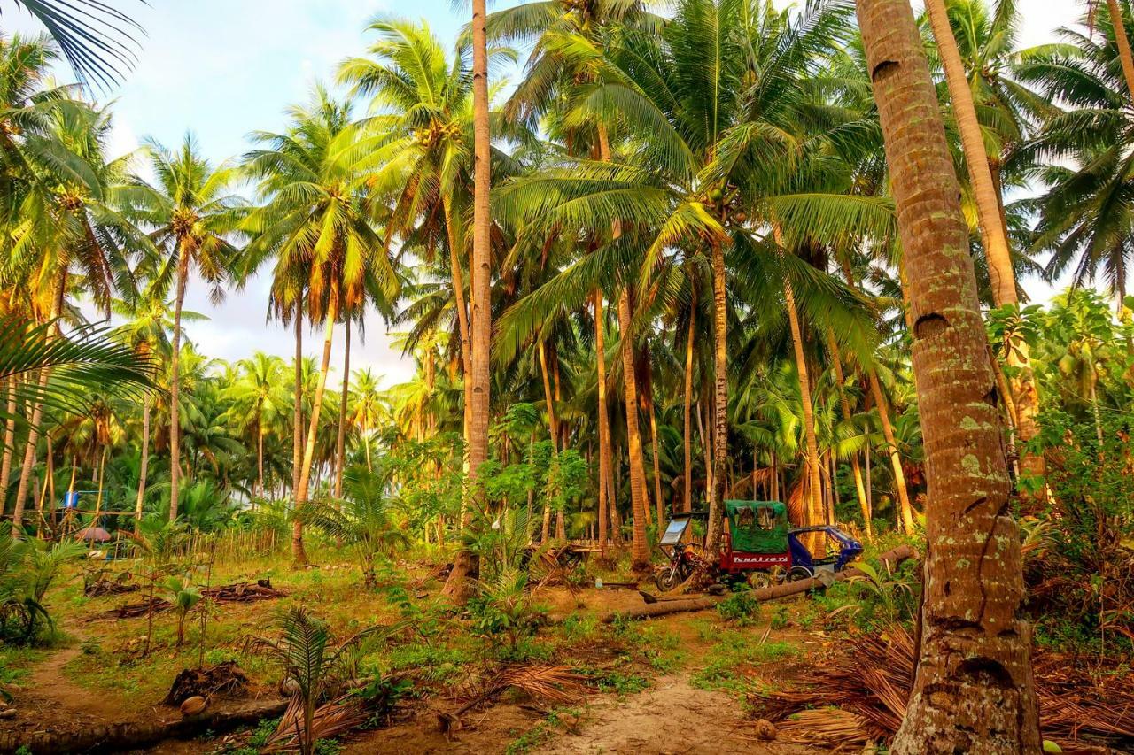 Efrena Agro Tourism Beach เอลนิโด ภายนอก รูปภาพ